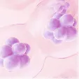 Other Medical Conditions